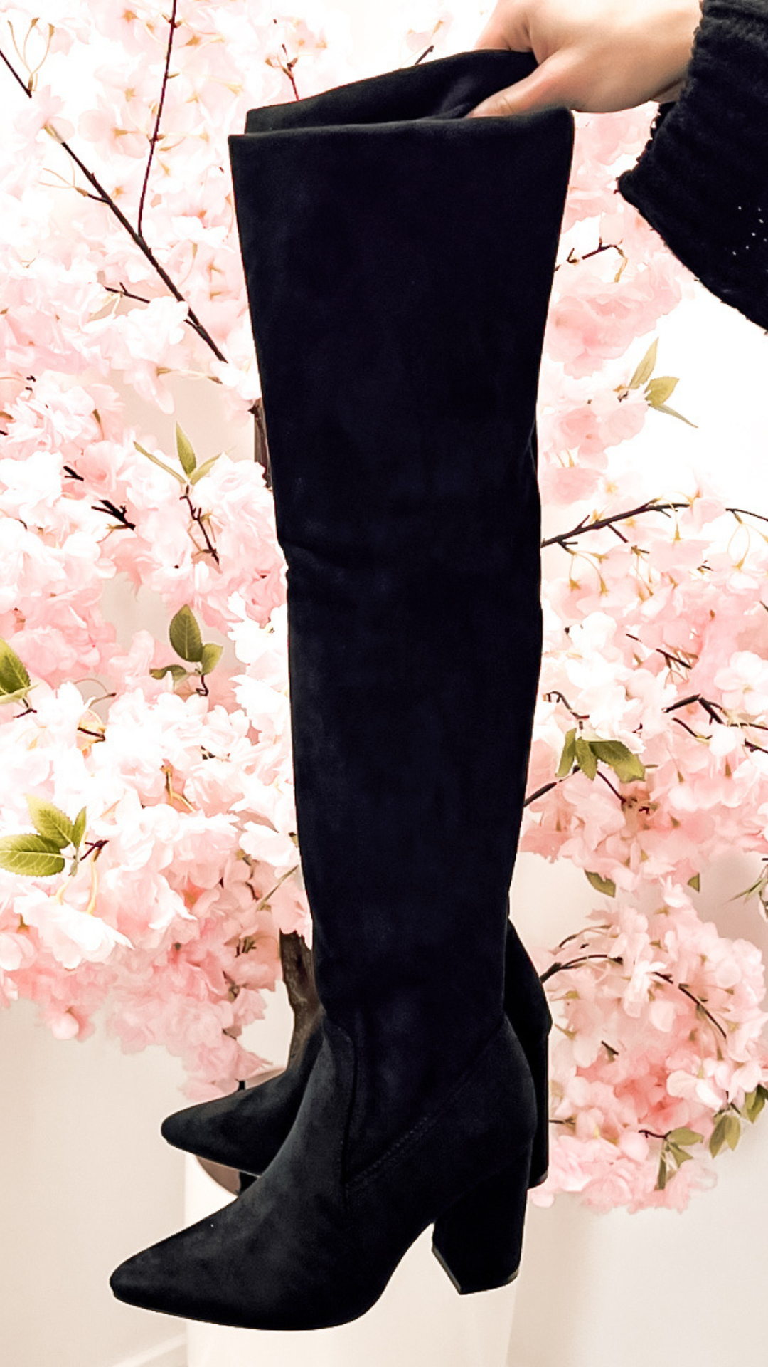 Miss D Laars Salina zwart