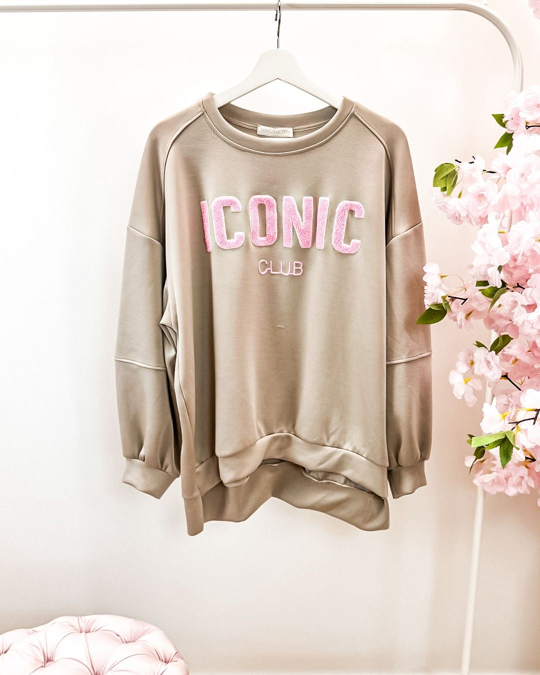 Trui Monica beige (t/m 44)